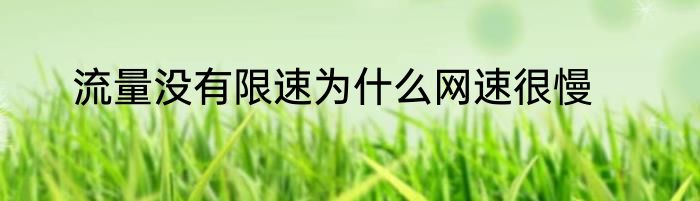 流量没有限速为什么网速很慢