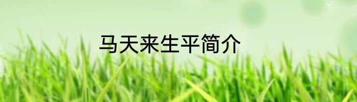 马天来生平简介