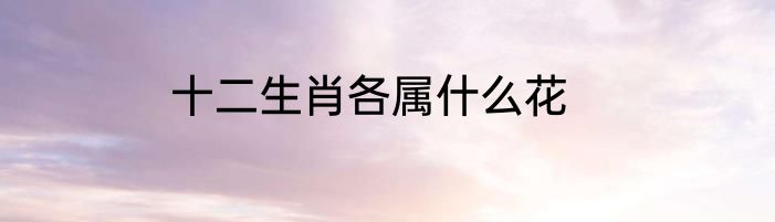 十二生肖各属什么花