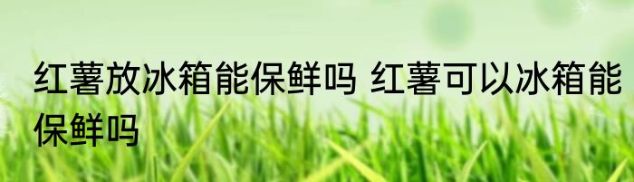 红薯放冰箱能保鲜吗 红薯可以冰箱能保鲜吗