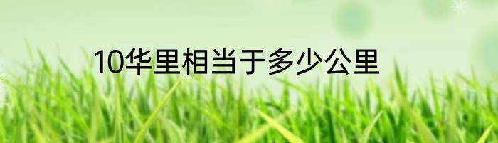10华里相当于多少公里