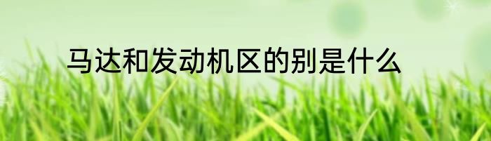 马达和发动机区的别是什么