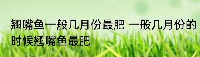 翘嘴鱼一般几月份最肥 一般几月份的时候翘嘴鱼最肥