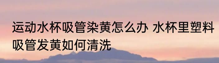 运动水杯吸管染黄怎么办 水杯里塑料吸管发黄如何清洗