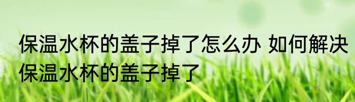 保温水杯的盖子掉了怎么办 如何解决保温水杯的盖子掉了