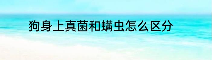 狗身上真菌和螨虫怎么区分