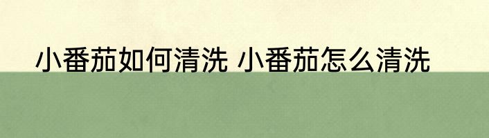 小番茄如何清洗 小番茄怎么清洗