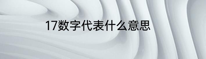 17数字代表什么意思