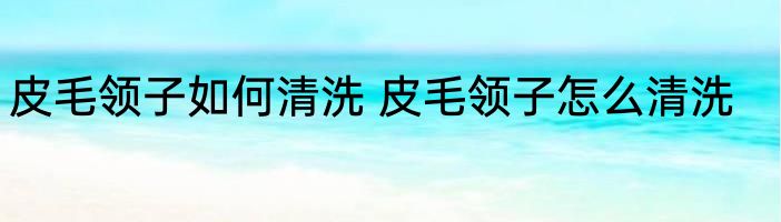 皮毛领子如何清洗 皮毛领子怎么清洗