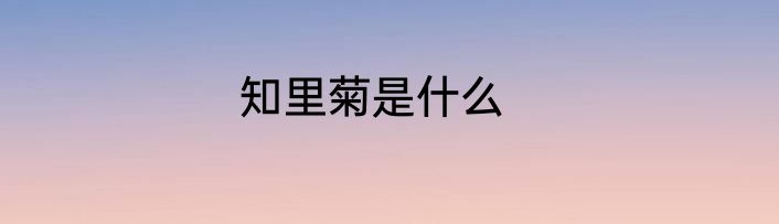 知里菊是什么
