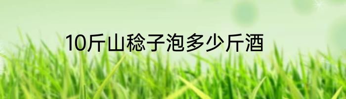 10斤山稔子泡多少斤酒