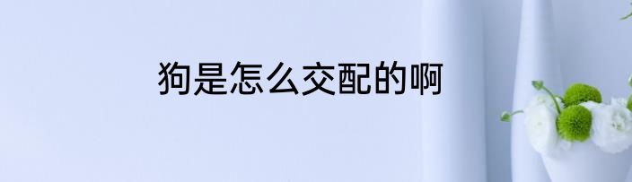 狗是怎么交配的啊