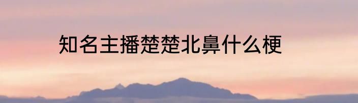 知名主播楚楚北鼻什么梗