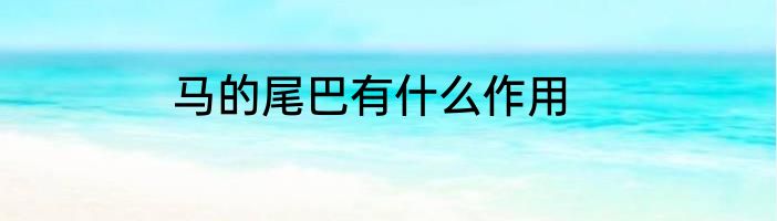 马的尾巴有什么作用