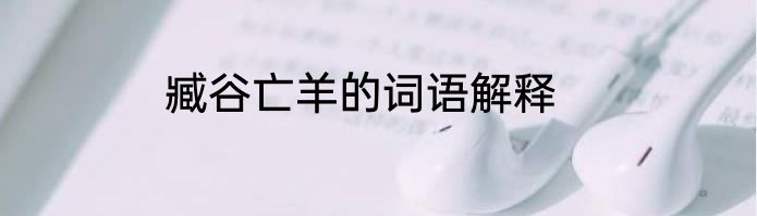 臧谷亡羊的词语解释