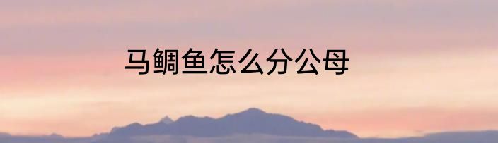 马鲷鱼怎么分公母