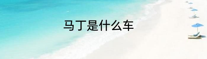 马丁是什么车