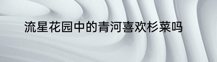 流星花园中的青河喜欢杉菜吗