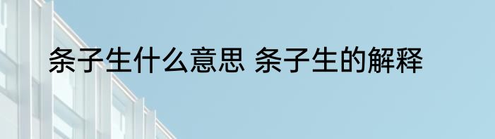 条子生什么意思 条子生的解释