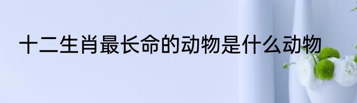 十二生肖最长命的动物是什么动物