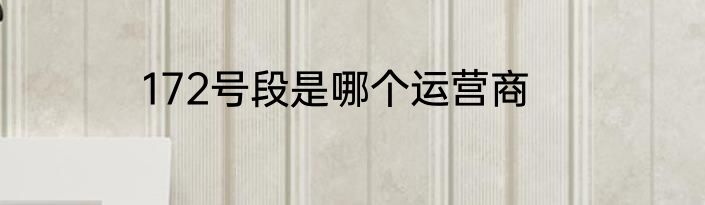 172号段是哪个运营商