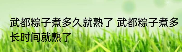 武都粽子煮多久就熟了 武都粽子煮多长时间就熟了