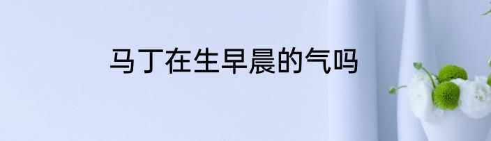 马丁在生早晨的气吗