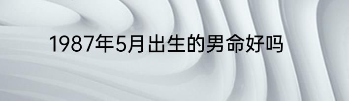 1987年5月出生的男命好吗
