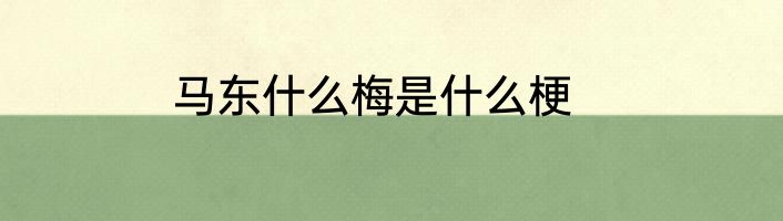 马东什么梅是什么梗
