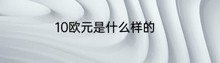 10欧元是什么样的
