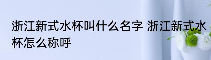 浙江新式水杯叫什么名字 浙江新式水杯怎么称呼