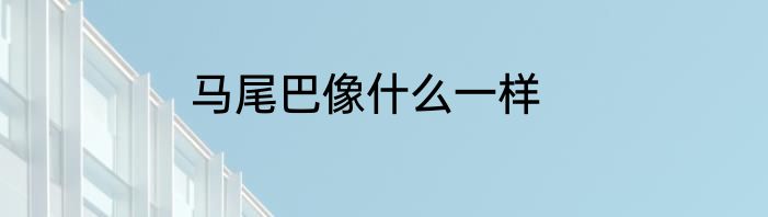 马尾巴像什么一样