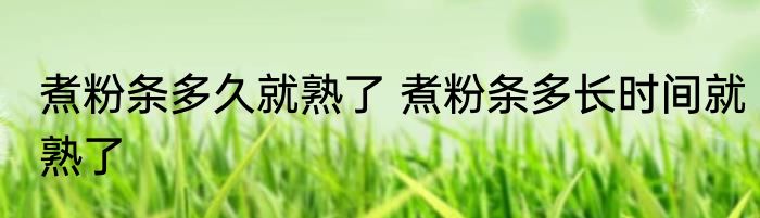 煮粉条多久就熟了 煮粉条多长时间就熟了