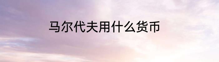 马尔代夫用什么货币