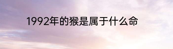 1992年的猴是属于什么命