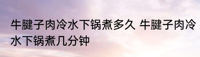 牛腱子肉冷水下锅煮多久 牛腱子肉冷水下锅煮几分钟