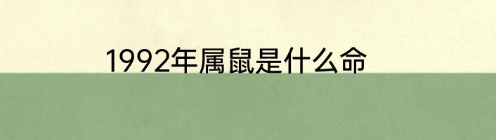 1992年属鼠是什么命