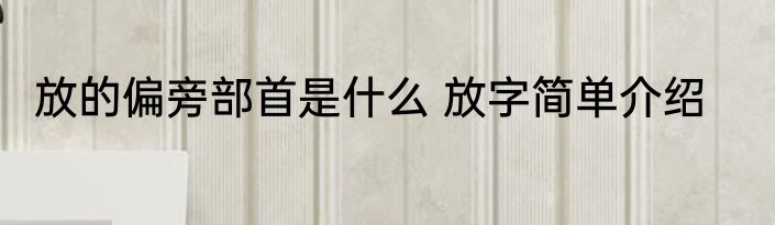 放的偏旁部首是什么 放字简单介绍