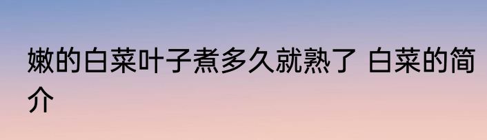 嫩的白菜叶子煮多久就熟了 白菜的简介