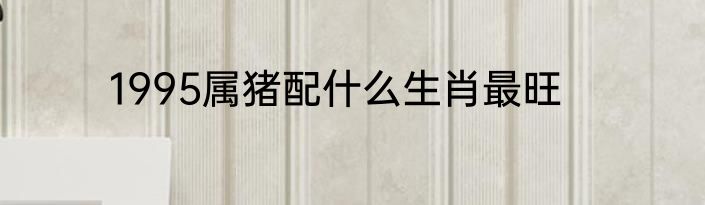1995属猪配什么生肖最旺