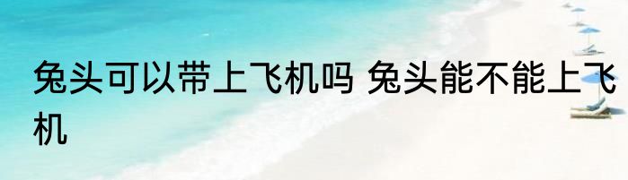 兔头可以带上飞机吗 兔头能不能上飞机