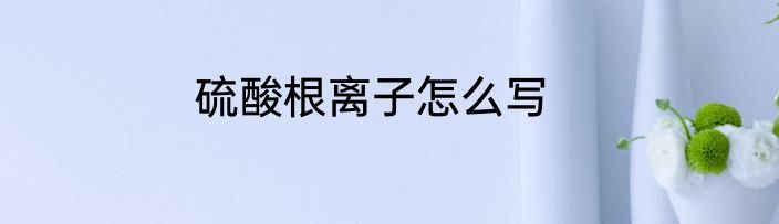 硫酸根离子怎么写