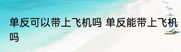 单反可以带上飞机吗 单反能带上飞机吗