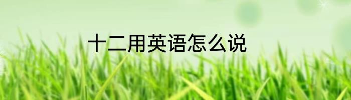 十二用英语怎么说