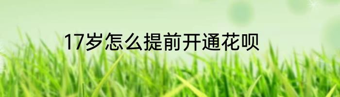 17岁怎么提前开通花呗