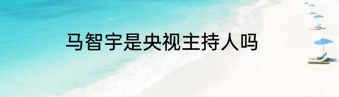 马智宇是央视主持人吗