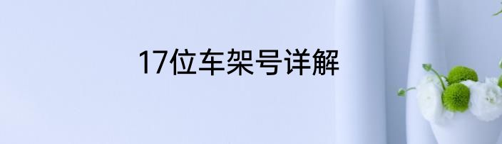 17位车架号详解