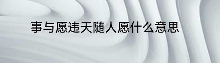 事与愿违天随人愿什么意思
