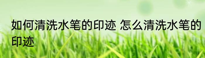 如何清洗水笔的印迹 怎么清洗水笔的印迹
