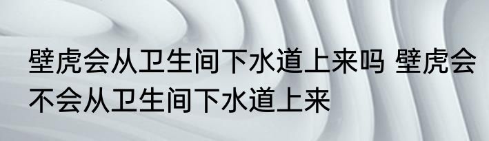 壁虎会从卫生间下水道上来吗 壁虎会不会从卫生间下水道上来